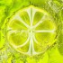 LEMONADE - The 2nd Album 앨범 커버